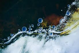 What is Total Dissolved Solids (TDS)?