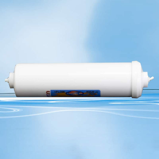 AquaSafe 17670 - 2.5" x 10" inline External Filter